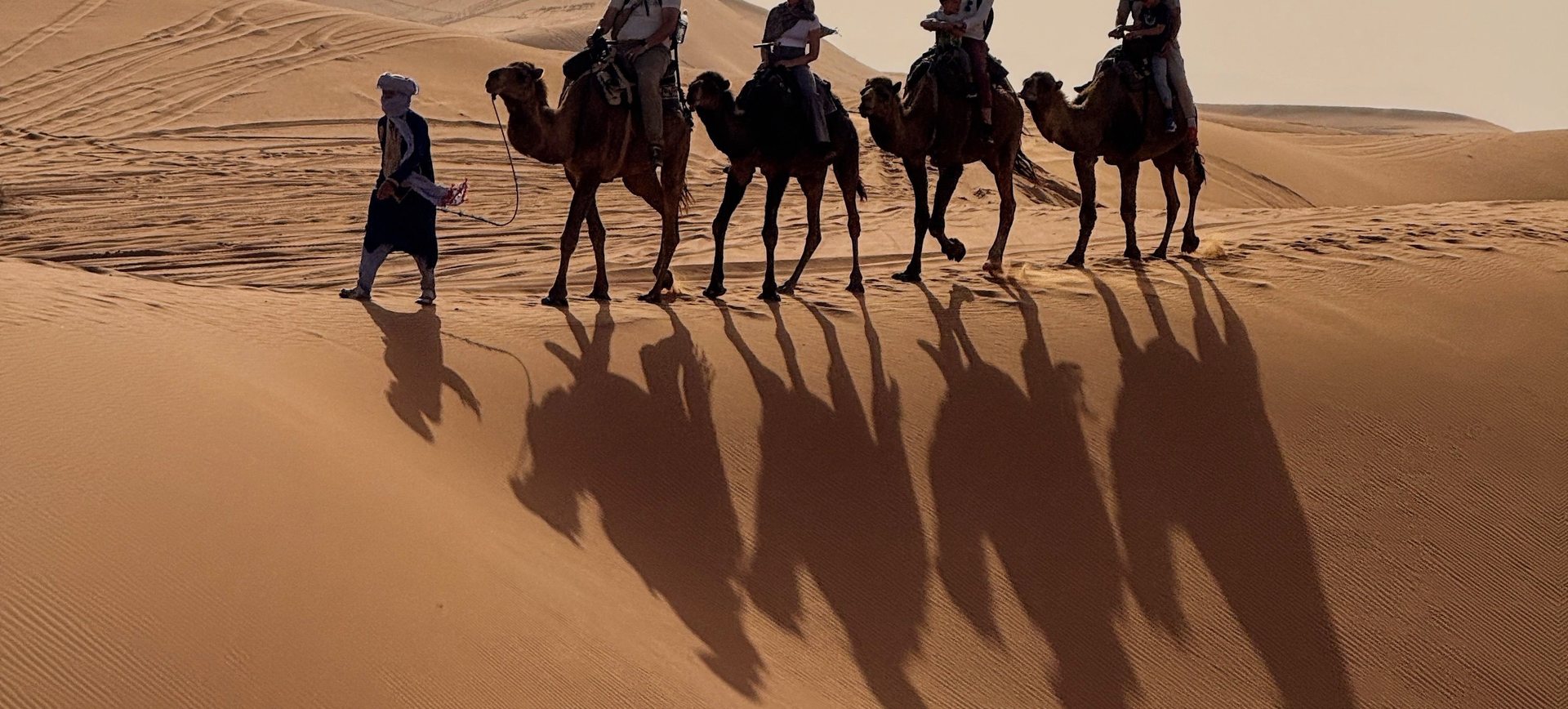 A camel caravan in silhouette crossing the desert dunes at sunset in Morocco