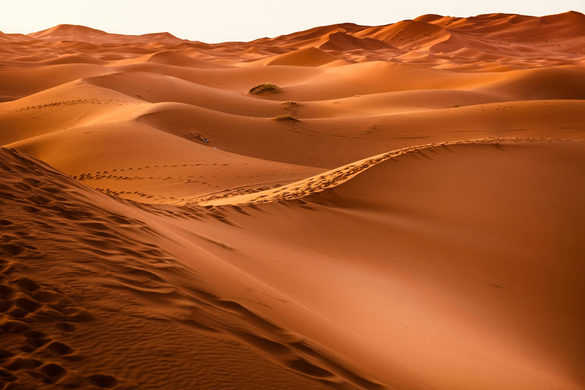 Golden sand dunes at sunset in the Moroccan Sahara